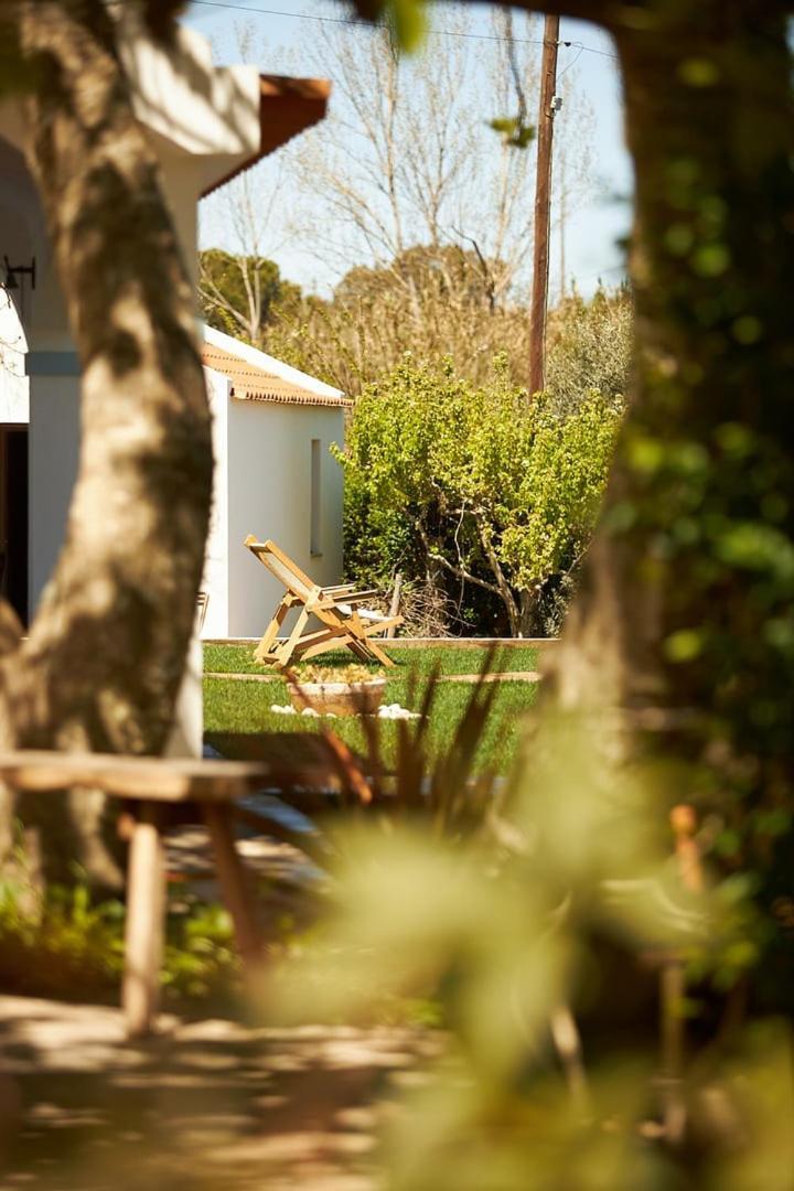 Quinta Do Marmeleiro - Casa Marmeleiro Villa Santiago do Cacém Exterior photo