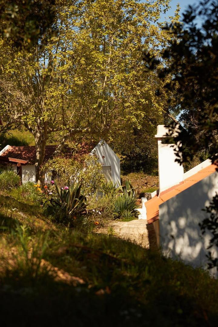 Quinta Do Marmeleiro - Casa Marmeleiro Villa Santiago do Cacém Exterior photo