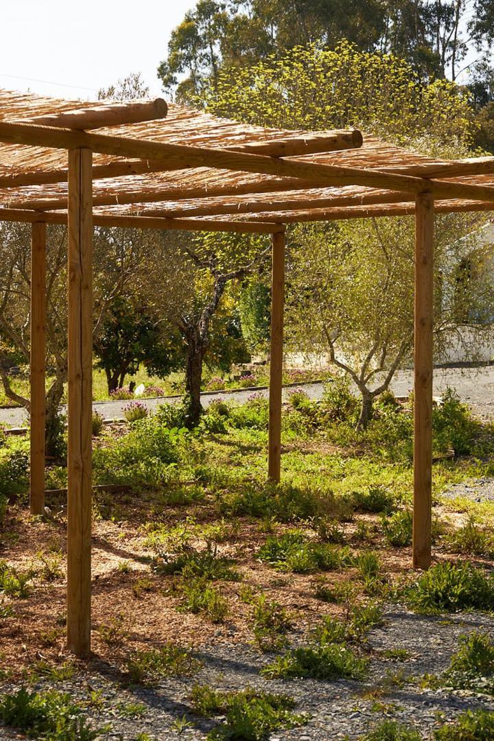 Quinta Do Marmeleiro - Casa Marmeleiro Villa Santiago do Cacém Exterior photo