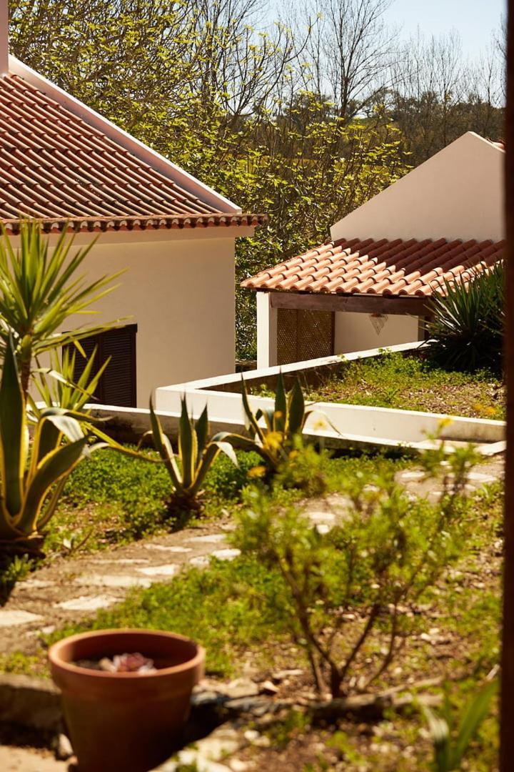 Quinta Do Marmeleiro - Casa Marmeleiro Villa Santiago do Cacém Exterior photo