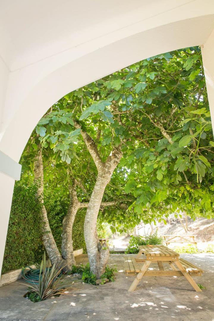 Quinta Do Marmeleiro - Casa Marmeleiro Villa Santiago do Cacém Exterior photo